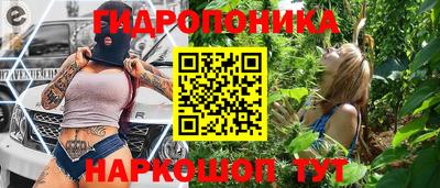 шишки Краснодар