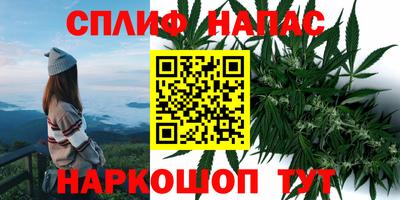 шишки Краснодар