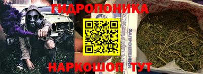 шишки Краснодар