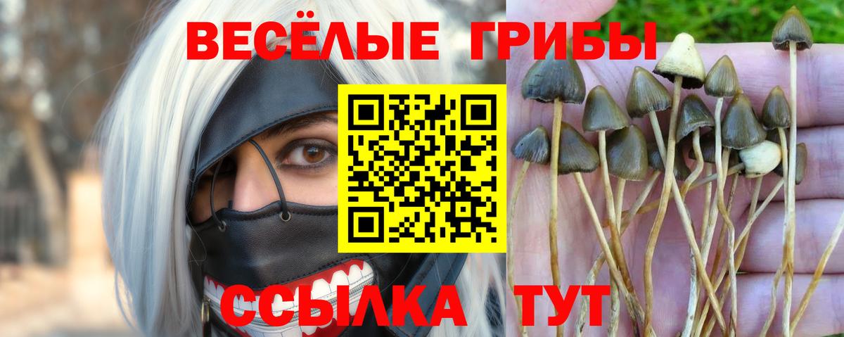 Галлюциногенные грибы мухоморы  Вход с VPN  Псилоцибиновые грибы GOLDEN TEACHER  Корсаков 